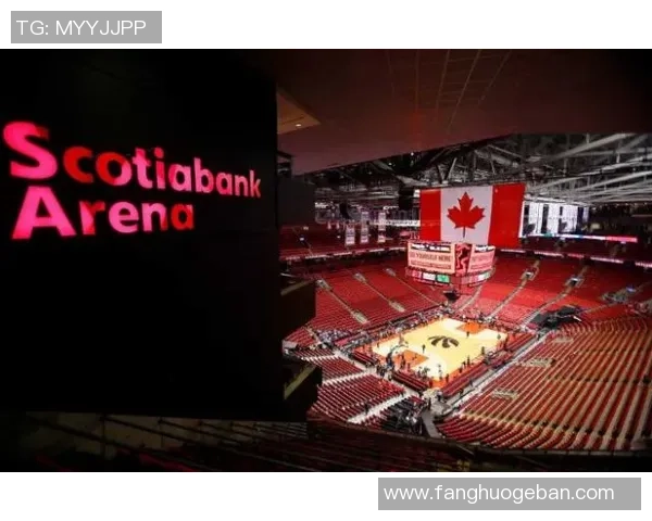 重庆排球队的蜕变之路精英赛特别报道展现新风貌与未来希望